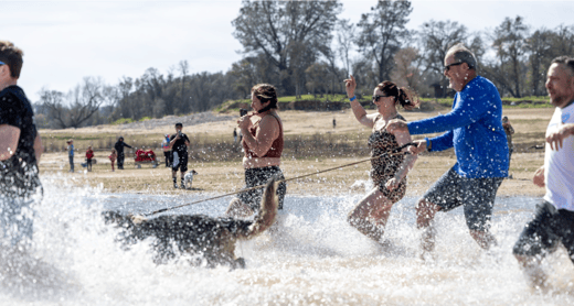 IIAB Sac-August 2025-Plunge
